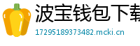 波宝钱包下载教程